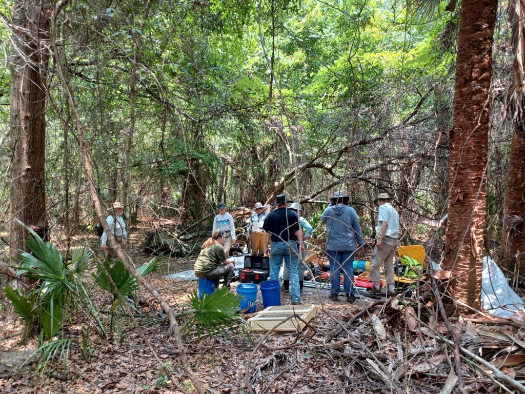 ETSU Field School Students at the Brickhill Bluff Freedman's Village, Cumberland Island