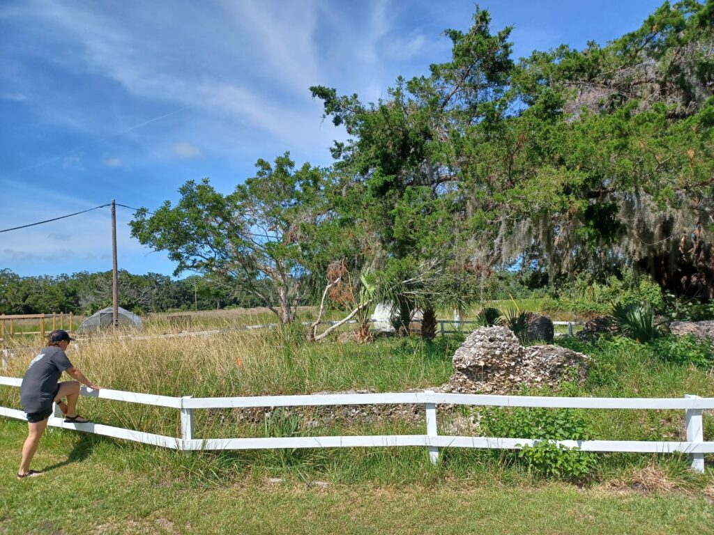 Long Tabby Sugar Mill, Sapelo Island