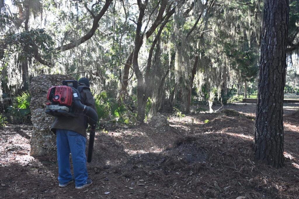 Doug Cranford clearing leaf litter and pine needles during preliminary site documentation